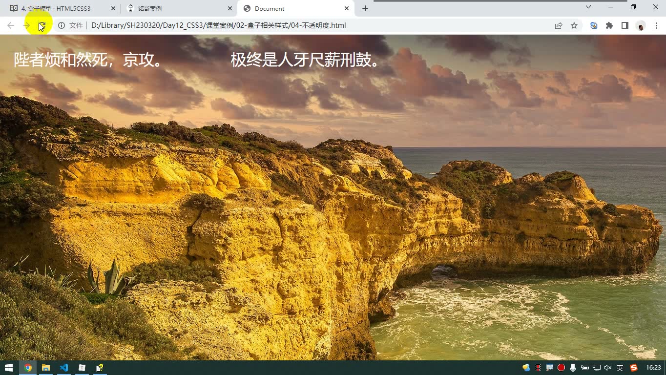 课堂画面 4